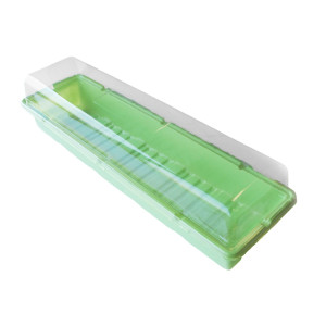 Minisera pentru rasaduri, Versay, T3, PVC, 54 x 15 x 7 cm