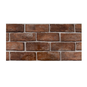 Panou decorativ Brick Red, polietilena, multicolor, 60 x 30 cm, 2.5 mm