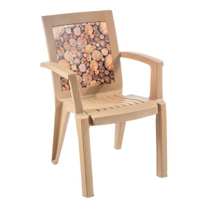 Scaun de gradina, terasa, Decor, plastic, teak