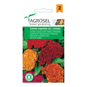 Seminte flori Agrosel, creasta cocosului