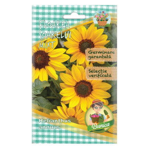 Seminte flori Micul Gradinar, floarea soarelui decorativa