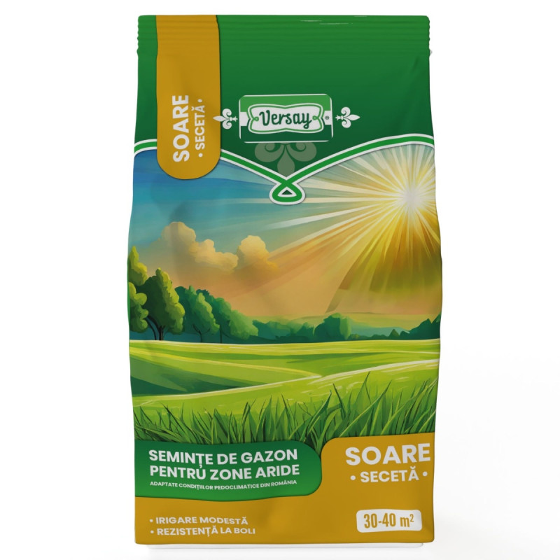 Seminte gazon seceta Versay, 1 kg