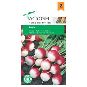 Seminte legume Agrosel, ridichi Helga