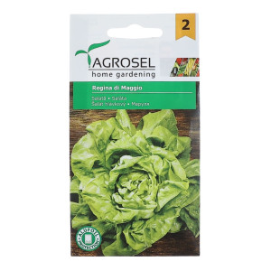 Seminte legume Agrosel, salata verde Regina Di Maggio AS-PG2