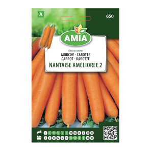 Seminte legume Amia A, morcov Nantaise Amelioree 2