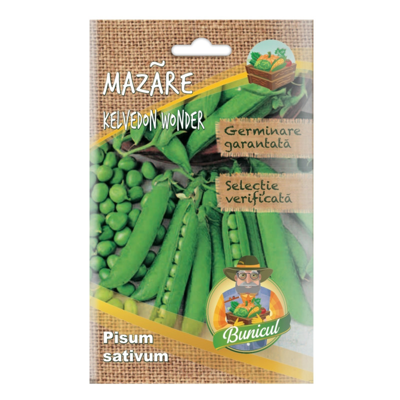 Seminte legume Micul Gradinar, mazare Kelvedon