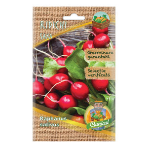 Seminte legume Micul Gradinar, ridichi Saxa