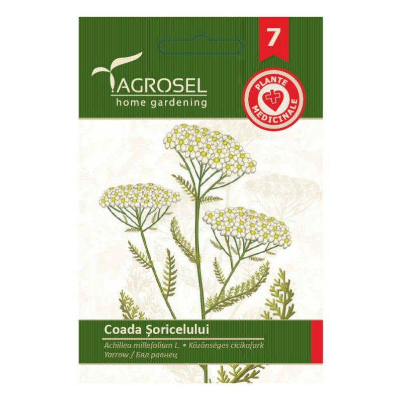 Seminte plante medicinale Agrosel, coada soricelului