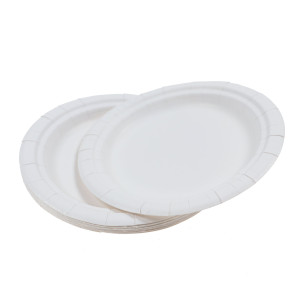 Farfurii rotunde din carton, nelaminate, albe, D 17 cm, set 10 bucati