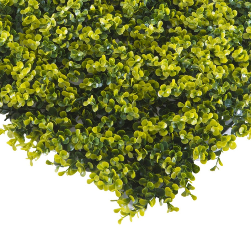 Gard viu artificial / paravan cu frunze imitatie gard viu, Tenax, Divy Buxus, verde, 50 x 50 cm
