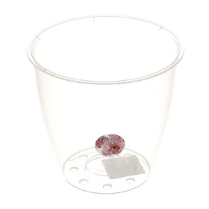 Ghiveci din plastic Miltonia, pentru orhidee, transparent, D 13.3 cm