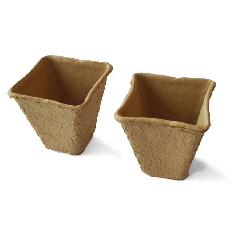 Ghiveci pentru rasaduri Versay T1, patrat, biodegradabil, 8 x 8 cm, set 12 bucati