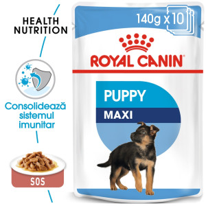 Hrana umeda caini, Royal Canin Maxi Puppy, plic 140 g, talie mare, junior, carne in sos