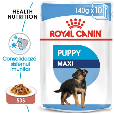 Hrana umeda caini, Royal Canin Maxi Puppy, plic 140 g, talie mare, junior, carne in sos