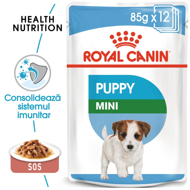 Hrana umeda caini, Royal Canin Mini Puppy, plic 85 g, talie mica, junior, carne in sos