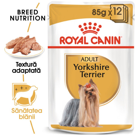 Hrana umeda caini, Royal Canin Yorkshire Terrier, plic 85 g, talie mica, adult, pate